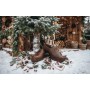 location-sabots-bois-lyon-decoration-noel-champetre-a-l-ancienne-retro-ancien-deco-campagne-nature