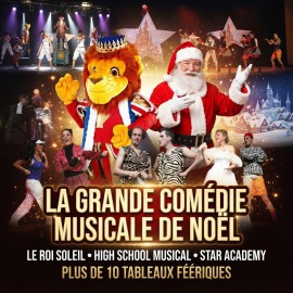 comedie-musicale-lyon-spectacle-enfants-pour-arbre-de-noel-ce-cse-entreprise-groupe