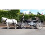 location-landau-blanc-attelage-caleche-carrosse-princier-mariage-celebration-deces-enterrement