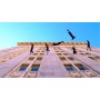 Spectacle de danse sur façade d'immeuble - Acrobaties aériennes - Danse à la verticale - spectacle aérien Lyon