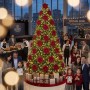location-poinsettia-de-noel-en-tissu-sur-clip-rouge-pour-decoration-sapin-de-noel-Lyon