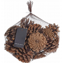 location-pommes-de-pins-decoration-nature-montagne-noel-Lyon()