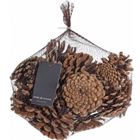 location-pommes-de-pins-decoration-nature-montagne-noel-Lyon()