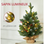 location-petit-sapin-led-60-com-decoration-de-noel-lyon-pour-événementielle
