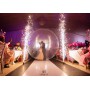 Location de bulle géante pour mariage - Entrée des Mariés originale - Arrivée des mariés Insolite dans une boule - Sphère en pla