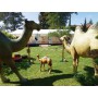 location-statue-animale-decoration-animaux-realiste-grande-taille-afrique-asie-savane-lyon-resine