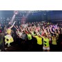 Réalisation de Flashmob à Lyon