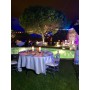 L'ile enchantée lieu de réception en plein pour mariage