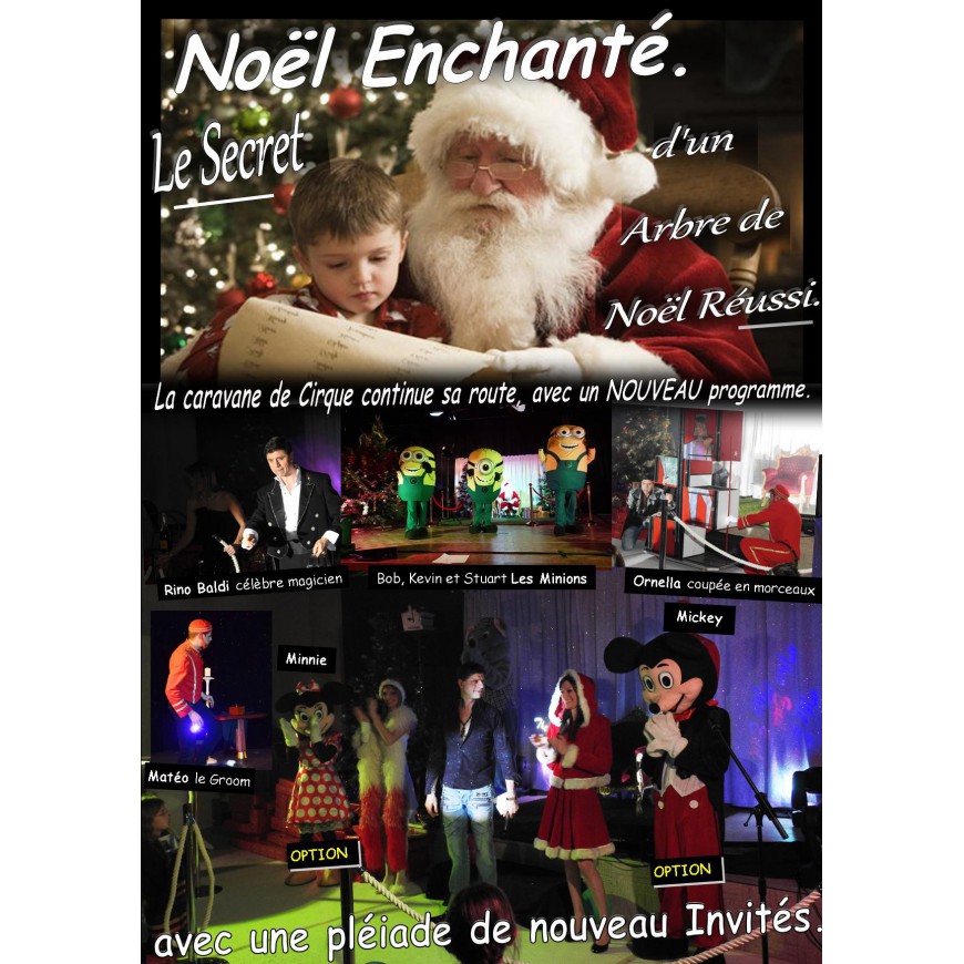Spectacle Noël CE Bienvenue au royaume Reines des Neiges - Organisation  Arbre de Noël Lyon