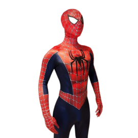 Animation Spiderman Lyon