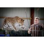 animation-avec-leopard-lyon-rhone-alpes-69