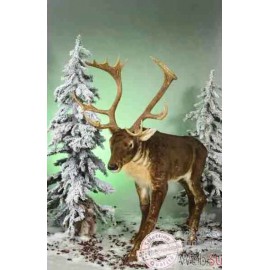 Location d'automates - Décoration de Noël avec Automates - Réalisation de décoration avec Automates