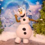 Anniversaire Reine des Neiges - Elsa Anna et Olaf - Animation Thème reine des neige Lyon
