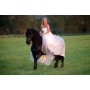 Location cheval mariage Lyon - Arrivée à cheval mariage - location cheval mariage - arrivée mariée originale