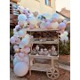 Arche de ballons organique