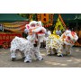 Danse du Lion - Spectacles asiatiques et chinois Lyon - 