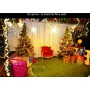 Spectacle de Noël au Transbordeur à Lyon Billetterie - Spectacle pour enfants et pour CE près de Lyon pour arbre de Noël