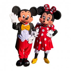 animation avec Mickey, Minnie, Olaf, Anna, Elsa, Aladin et Jasmine, Spectacle